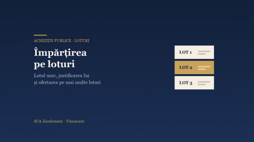 Împărțirea pe loturi în achizițiile publice - SCA Zandomeni