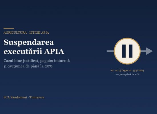 Suspendarea executării deciziei APIA în instanță: când și cum o obții - SCA Zandomeni