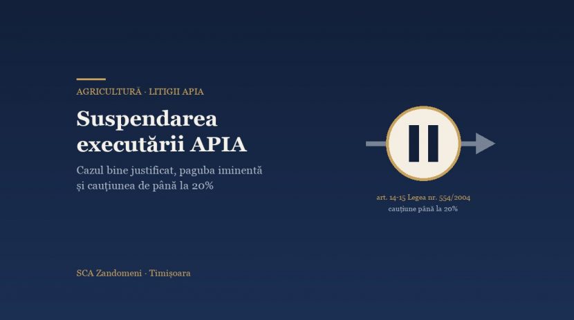 Suspendarea executării deciziei APIA în instanță: când și cum o obții - SCA Zandomeni